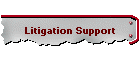 Litigation Support