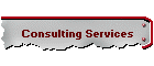 Consulting Services